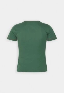 BDG Urban Outfitters BABY - T-shirt Z Nadrukiem - Green -sklep Next 0d623188a9774e43ac51b246546acc17