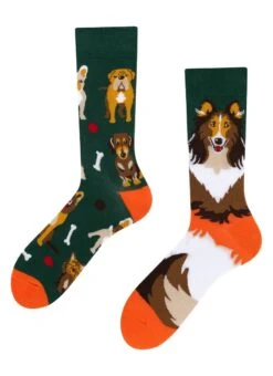 WILD WORLD - PSY, PSZCZOŁY, LIS - Skarpety - Multi-coloured 11 WILD WORLD - PSY, PSZCZOŁY, LIS - Skarpety - Multi-coloured -sklep Next 357e4517b29b445297b55737b67ef387