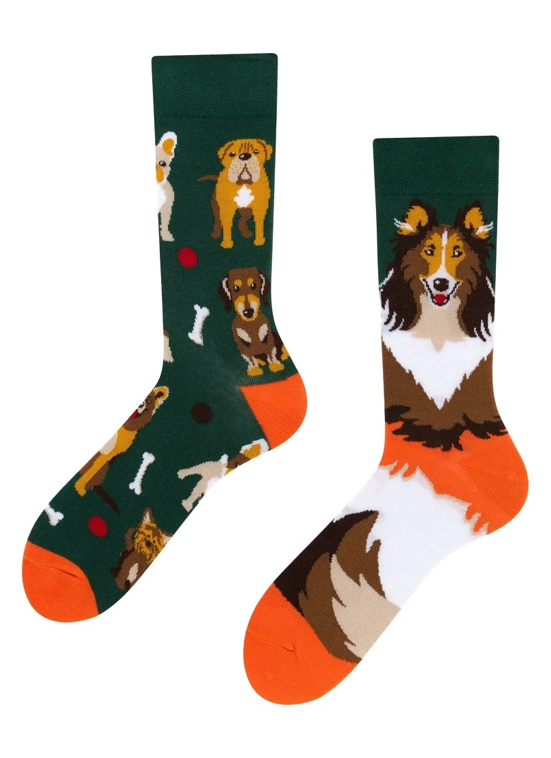 WILD WORLD - PSY, PSZCZOŁY, LIS - Skarpety - Multi-coloured 5 WILD WORLD - PSY, PSZCZOŁY, LIS - Skarpety - Multi-coloured - obrazek 5