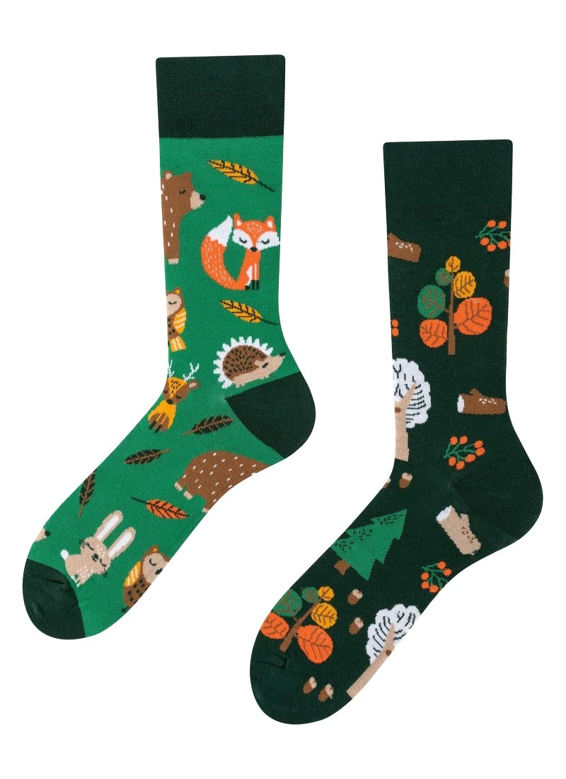 WILD WORLD - PSY, PSZCZOŁY, LIS - Skarpety - Multi-coloured 2 WILD WORLD - PSY, PSZCZOŁY, LIS - Skarpety - Multi-coloured - obrazek 2