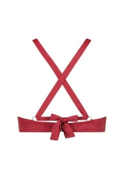 Cyell Góra Od Bikini - Bordeaux Rood 12 Cyell Góra Od Bikini - Bordeaux Rood -sklep Next 613a2d34fea24a04b0a1f88e6ae620df