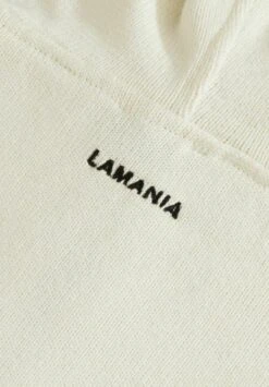 AIRPLANE - Bluza Z Kapturem - Cream -sklep Next 6c2b0798dbe4410caafd7521f8e1e712