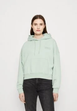 Napapijri MORGEX - Bluza Z Kapturem - Green Frost