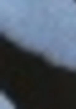 Taifun KURZARM HALBARM MIT ABSTRAKTEM PRINT - T-shirt Z Nadrukiem - Schwarz Gemustert -sklep Next ffc268cab9a745ae9c7f4fdf30a14b66